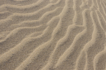 Natural pattern in sand dunes, waves