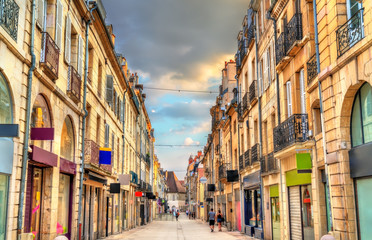 Fototapeta na wymiar Traditional buildings in the Old Town of Dijon, France