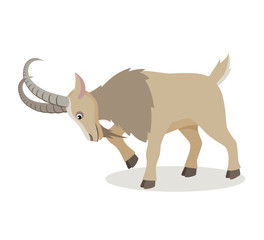 Cartoon mountain goat in different poses in flat style. Cute realistic goat with long horns for decor, learning children. Vector illustration.