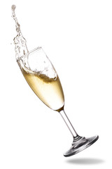 Champagne splash out of glass isolated on white background.