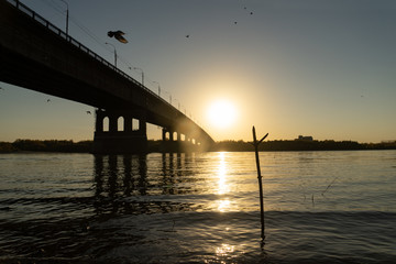 The bridge at sunset in the summer, birds fly from above.