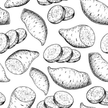 Sweet potato seamless pattern. Vector drawing. Isolated Vegetabl