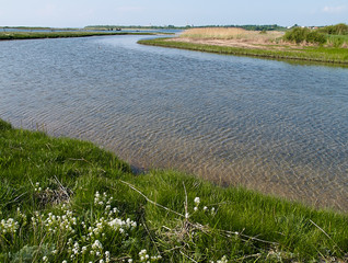 River delta flowing into the sea Denmark