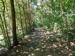 forrest national garden