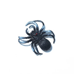 Spider fakes for use in Halloween.