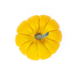 Halloween pumpkins isolated on white background, halloween concept