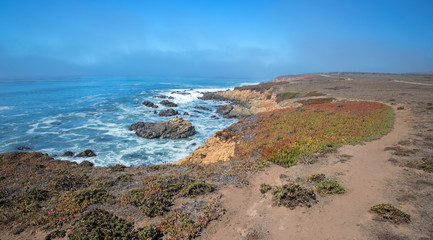 Hiking path on Central California coastline at Cambria California United States