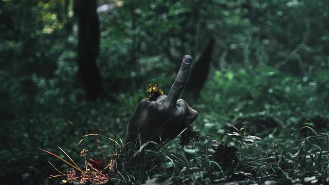 Zombie arm climbs out of the ground. shows middle finger up