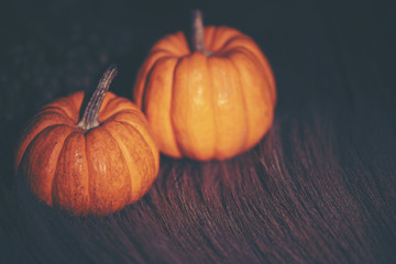 Halloween pumpkins, art picture for Halloween concept