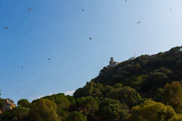 Fototapeta na wymiar Lighthouse and seagulls