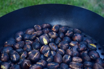 Kastanien braten im Garten, Törggelezeit in Südtirol
