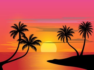 Fototapeta na wymiar landscape, beach,sunset,coast,nature,sea,summer,palm,tropocal