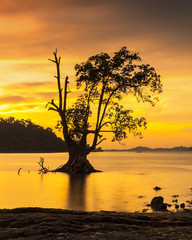 Fototapeta na wymiar Golden Sunset Wonderful Bintan Indonesia 