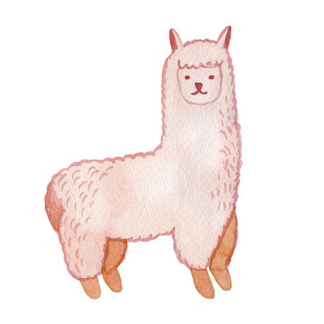 Llama and alpaca collection of cute hand drawn watercolor illustrations, cards and design for nursery design, poster, greeting card. Llamas or alpacas clip-art. Cute animals watercolor illustration.