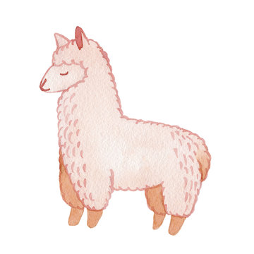 Llama and alpaca collection of cute hand drawn watercolor illustrations, cards and design for nursery design, poster, greeting card. Llamas or alpacas clip-art. Cute animals watercolor illustration.