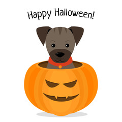 Happy Halloween, vector illustration of puppy celebrating Halloween. Dog with pumpkin