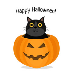 Happy Halloween, vector illustration of cat celebrating Halloween. kitten with pumpkin