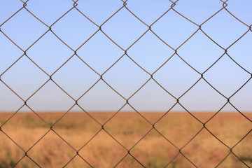 Fototapeta premium Steel mesh wire fence with green grass and blue sky background