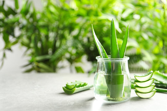 Jar with fresh aloe vera leaves on table against blurred background. Space for text