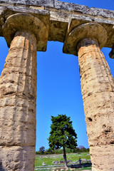 The Basilica (also called Temple of Hera) Paestum, Italy