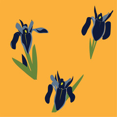 floral irisis on orange