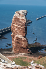 Wahrzeichen Lange Anna auf der Insel Helgoland