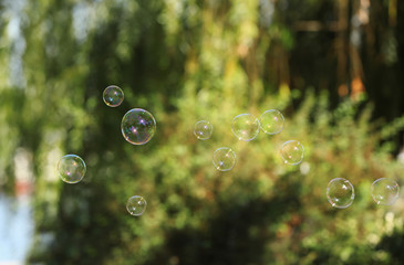 Beautiful translucent soap bubbles outdoors on sunny day