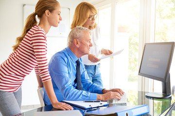 Fototapeta premium Group of business people working together in the office