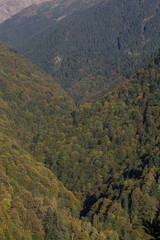 Obraz premium View at Boia Mica Valley