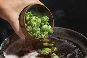 Woman adding fresh green hops to beer wort in pot, closeup