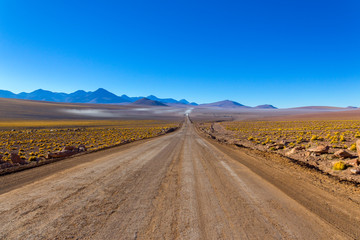 Fototapeta na wymiar Algún lugar en el desierto de San Pedro de Atacama en el norte de Chile