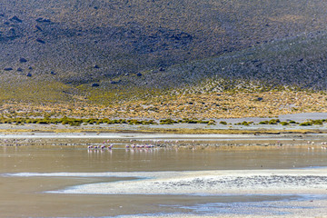 Alg&uacute;n lugar en el desierto de San Pedro de Atacama en el norte de Chile