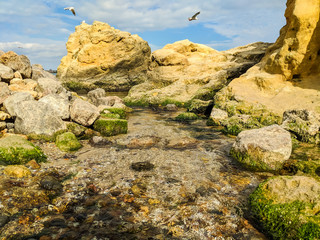 Small creek in the sea during the autumn season