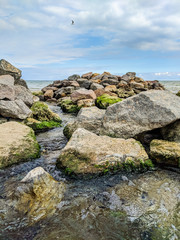 Small creek in the sea during the autumn season