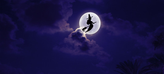 Halloween Moon and witch