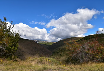 Automne à Font-Romeu ( Pyrénées )