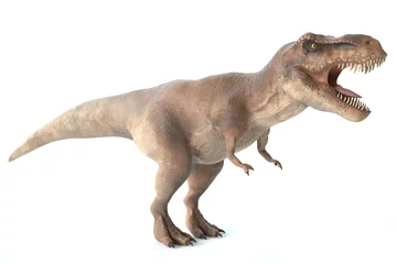 Keuken spatwand met foto 3d illustration of a tyrannosaurus rex dinosaur © abramsdesign