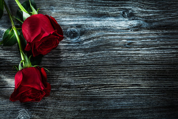 Expanded red roses on wooden board copy space