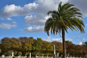 Jardin du Luxembourg en automne &agrave; Paris, France