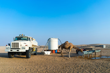 trailer on the beach