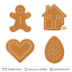 Gingerbread cookies isolated on white.