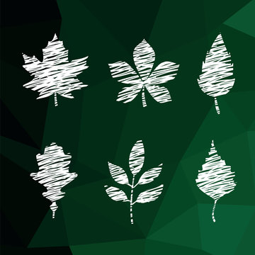 Vector chalk drawn leaves