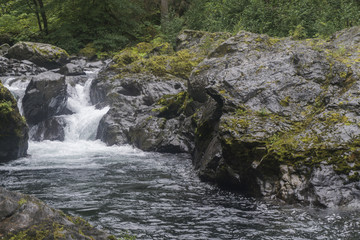 River and waterfall in Olympic NAtional Forest, Washington State, USA
