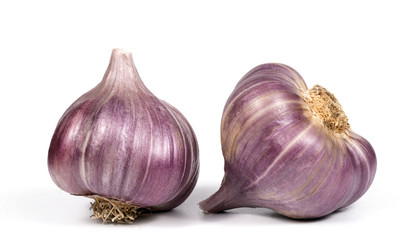 Organic garlic on white background