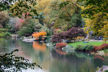 Central Park pond in Autumn. The bright fall colors in the park by the lake. New York City, USA.