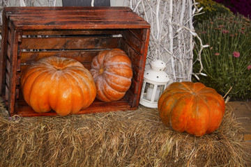 pumpkins on wooden table