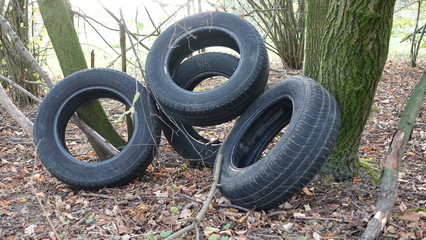 Altreifen in der Natur