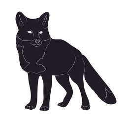 Obraz premium fox stands silhouette drawing, vector