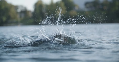 Athletic swimmer training in a lake
