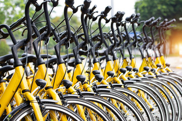 Row of bicycles parked. Yellow bicycles stand on a parking for rent. Pattern vintage bicycles bikes for rent on sidewalk in university. University students campaign to use bicycles instead of driving.